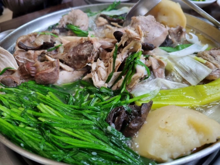  철원맛집 능이백숙 벅벅가든 동송맛집