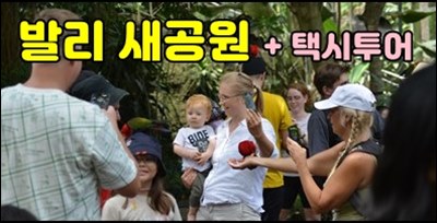  어린이와 함께하기 좋은 발리 새공원 택시투어