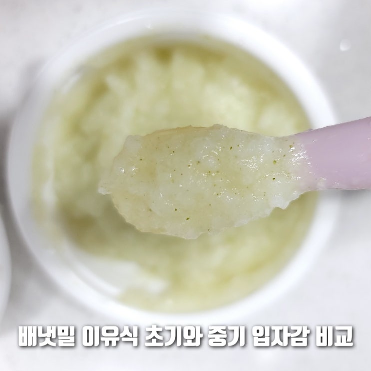  배냇밀 초기 이유식과 중기 이유식 입자 비교
