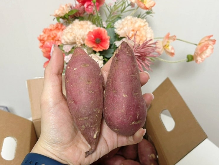 맛있는고구마추천 양새댁농산물 베니하루카꿀고구마 추천! 맛있는고구마추천 양새댁농산물 베니하루카꿀고구마 추천!