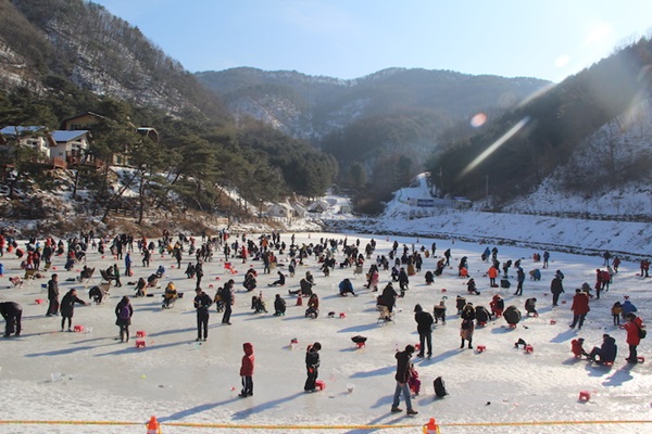 양평 산수유마을 빙어축제 기본정보, 양평 빙어낚시