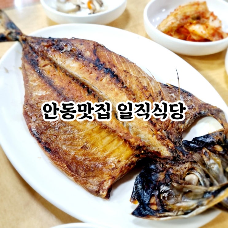  안동맛집 일직식당 faet 안동간고등어 찐맛집