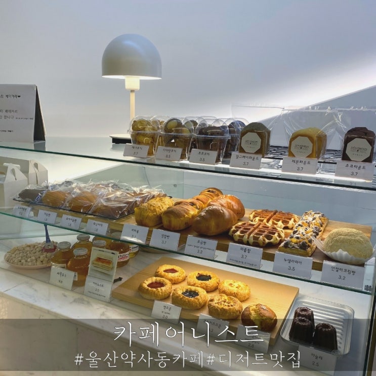  숨겨진 디저트 카페 맛집 울산 중구 카페어니스트!