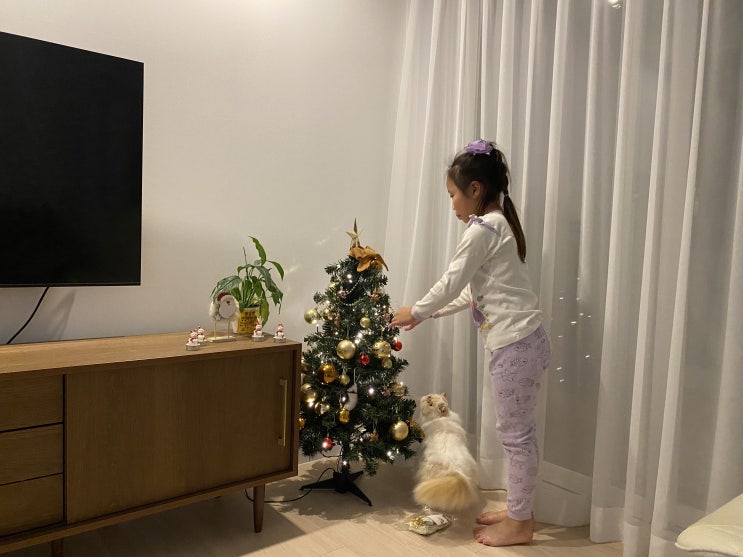  메리크리스마스