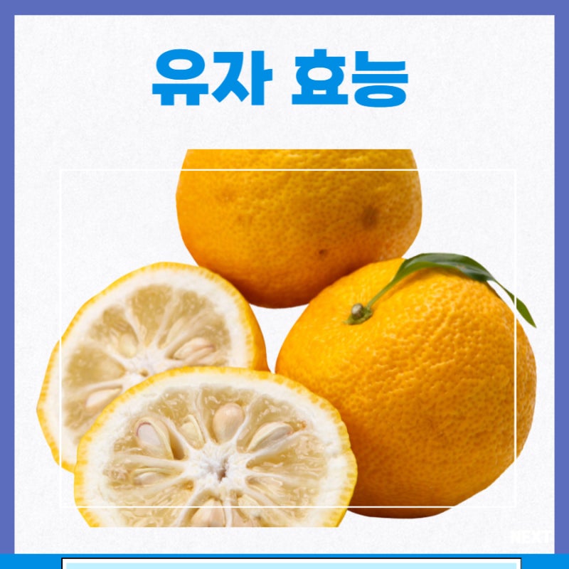 유자 효능 칼로리 부작용 유자차 효능 : 네이버 블로그