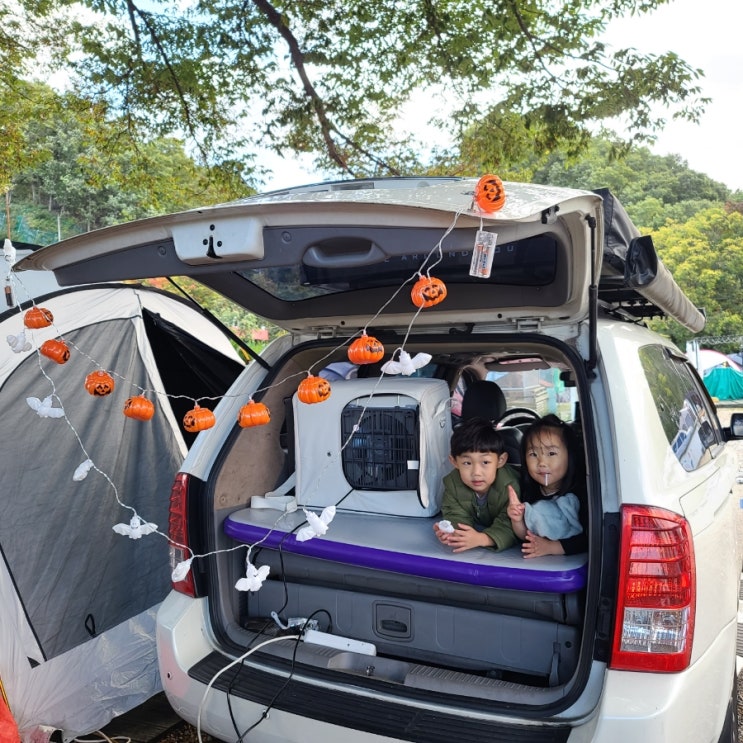 가정용 난방기 신일 팬히터 1200 내돈내산 값하는 미니 전기 온풍기 가정용 난방기 신일 팬히터 1200 내돈내산 값하는 미니 전기 온풍기
