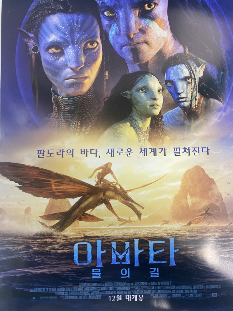  [Weekly Diary] 2022년 12월 넷째 주