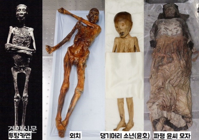 ‘조선 미라’, 결국 ‘문화재’ 대접 못받았다…‘중요출토자료’에 그친 이유 ‘조선 미라’, 결국 ‘문화재’ 대접 못받았다…‘중요출토자료’에 그친 이유