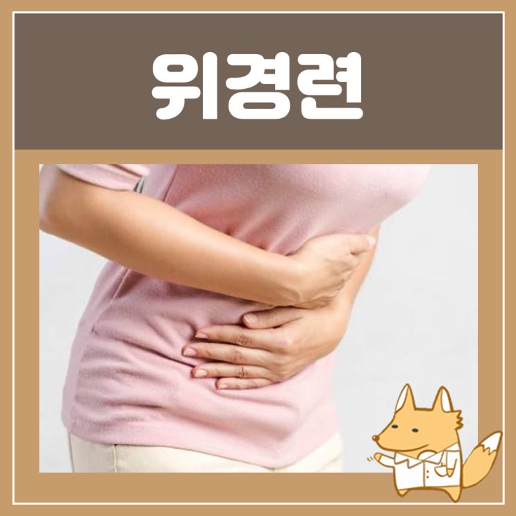  위경련약 부스코판 플러스 당의정 가격 : 위경련 응급처치 음식