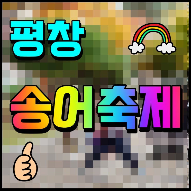  평창 송어축제 겨울 강원도 가볼만한곳 행사 여기 어때