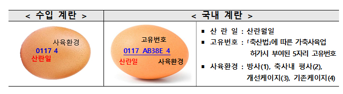 스페인서 달걀 121만개 수입…정부 “AI 수급 악화에 선제 대비” 스페인서 달걀 121만개 수입…정부 “AI 수급 악화에 선제 대비”