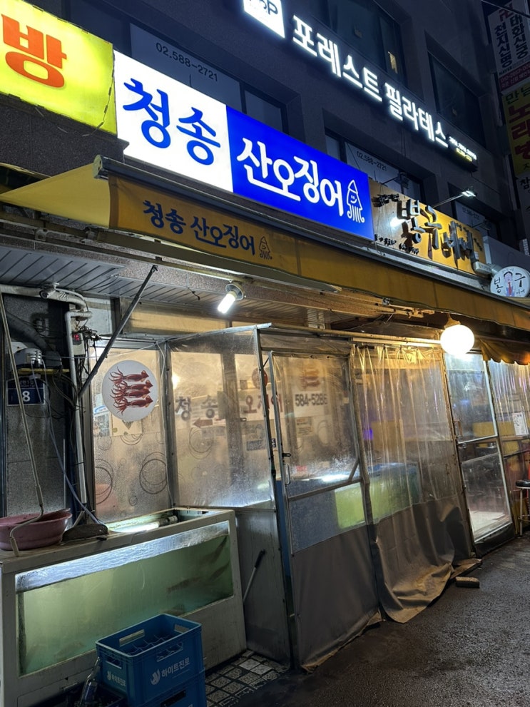 사당 오징어회 오징어찜 맛집 청송산오징어 ~