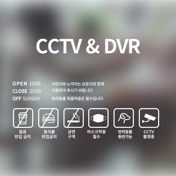 CCTV & DVR
