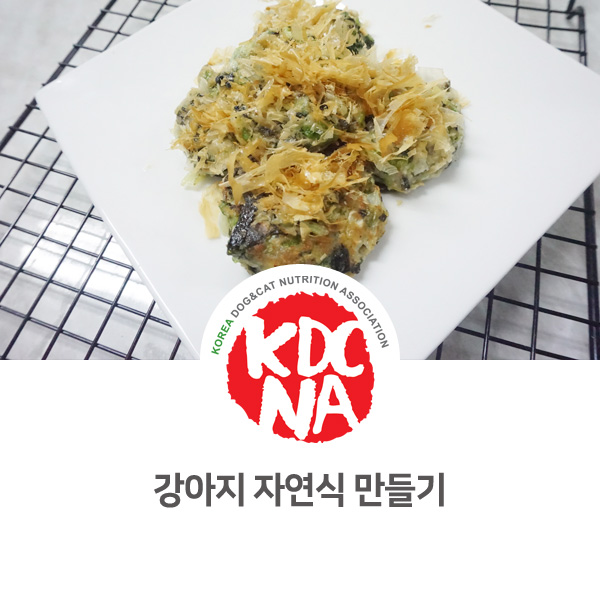  강아지 자연식 만들기 자격 과정 반려동물자연식관리사 고급 수업 후기 [한국반려동물영양협회/박은정펫푸드아카데미/전주/군산/광주/청주]