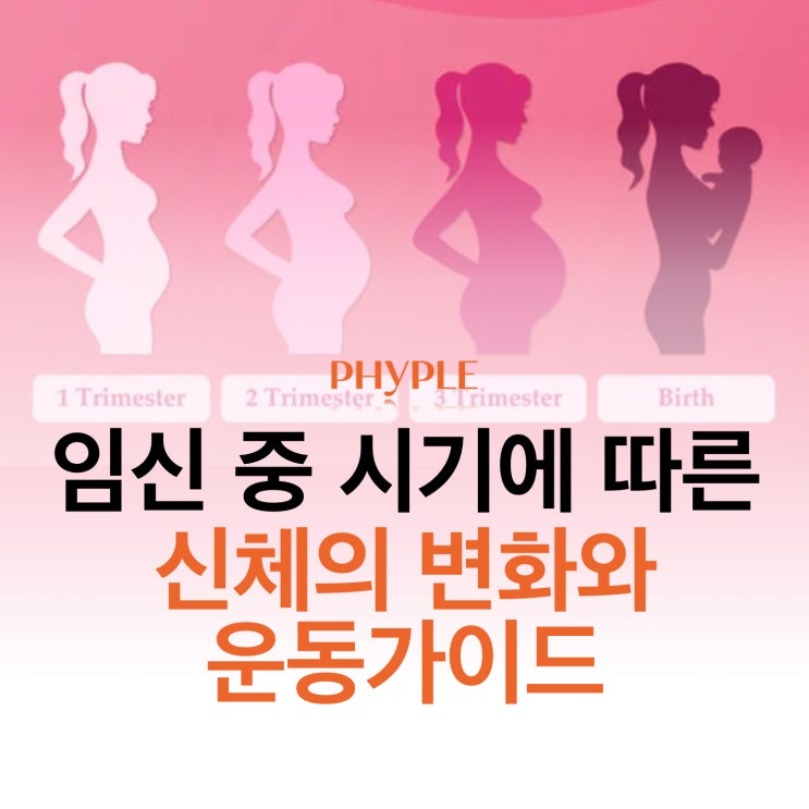 인천 산전산후 운동/ 임신 중 시기에 따른 신체 변화와 운동가이드