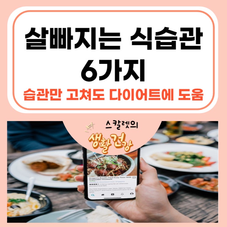  살빠지는 식습관 6가지 알아보았습니다.(식습관다이어트)