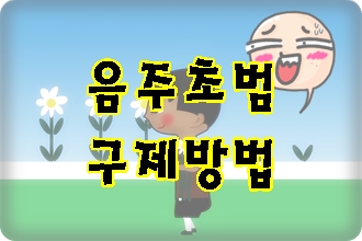 음주운전 면허취소 초범은 이렇게 해야 합니다 음주운전 면허취소 초범은 이렇게 해야 합니다