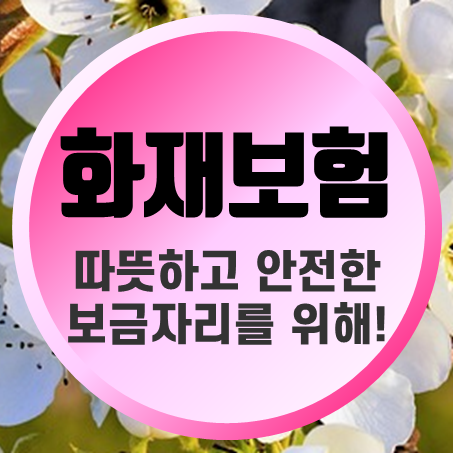  다가구주택화재보험 따뜻하고 안전한 보금자리를 위해서!