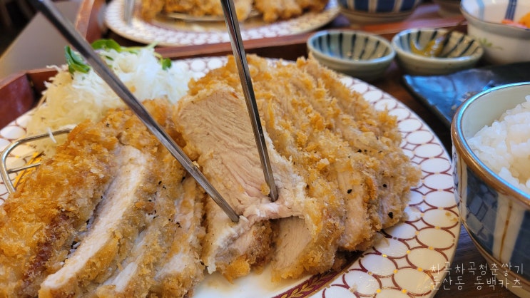  대전 둔산동 맛집 동백카츠 27,800원짜리 후기