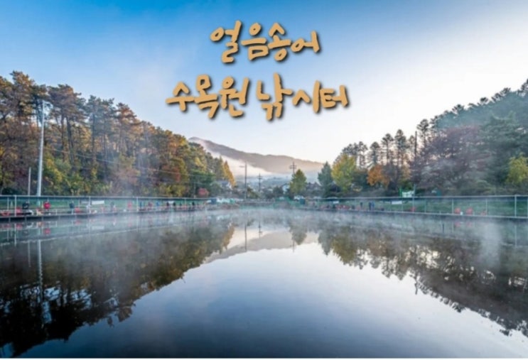  수목원 낚시터 포천 동계 얼음 송어 낚시터
