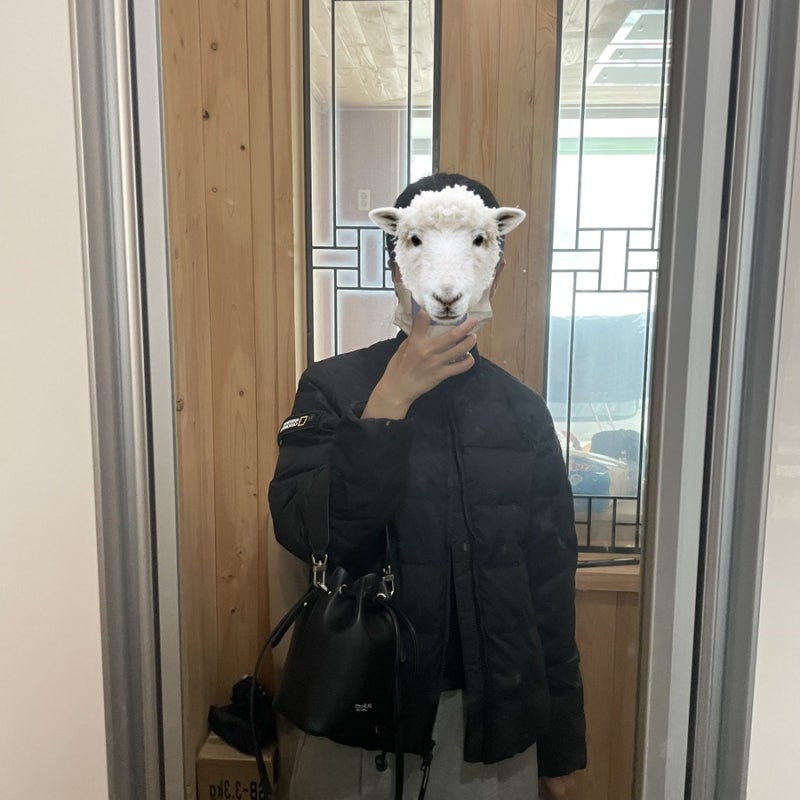 내셔널지오그래픽 헤론 경량패딩 블랙 여성 xs사이즈 내돈내산 후기
