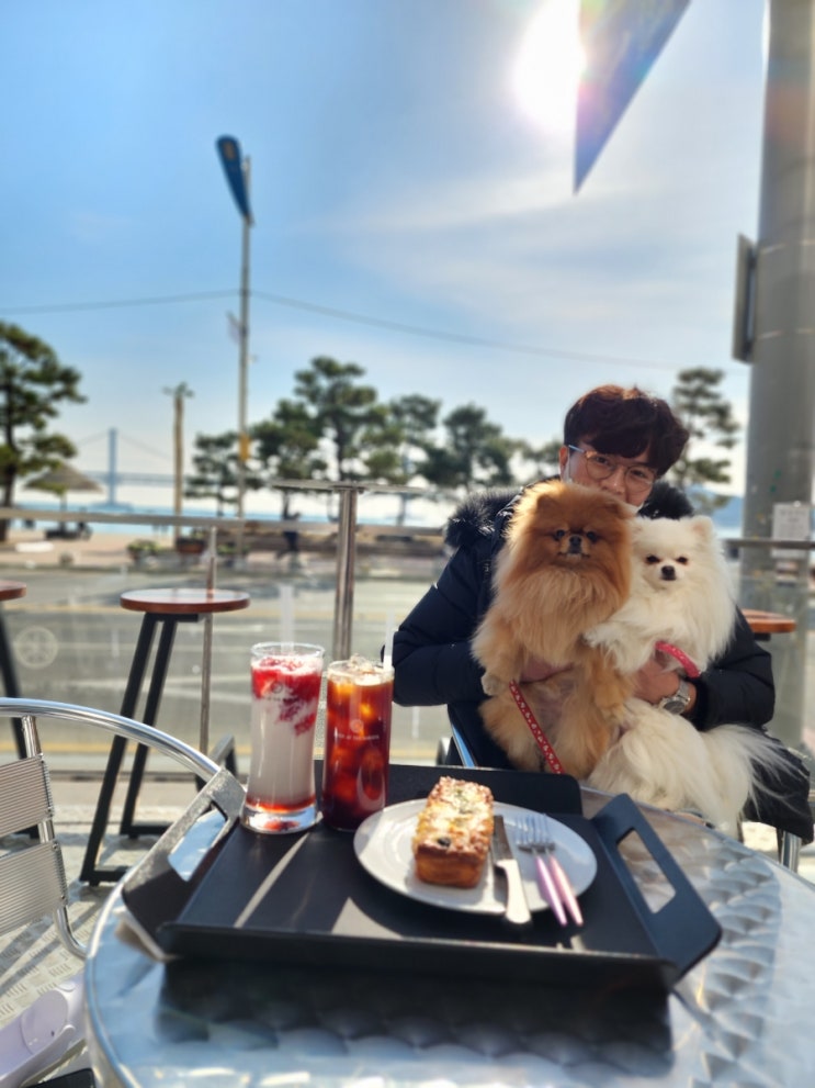  애견동반 가능한 광안리오션뷰카페 룩앳더바리스타 광안점