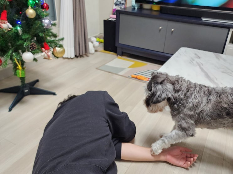  그러든지 말든지