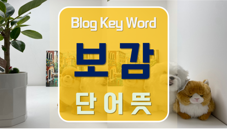  보감뜻 2022년12월26일키워드입니다.