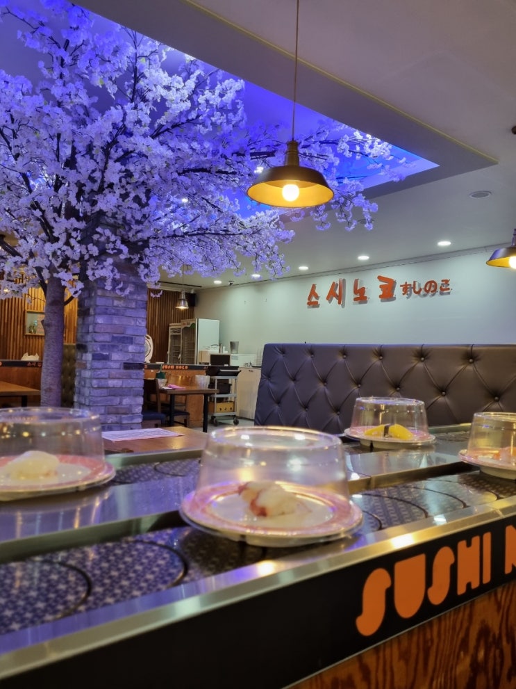  대구 수성구 스시노코 시지점 신매동 가성비 놀이방 식당 회전 초밥 맛있네!!