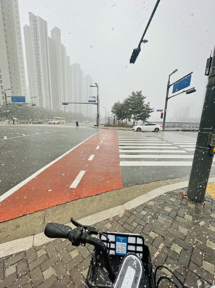  2212-2 계약직 면접과 첫 출근, 폭설, 지독한 감기
