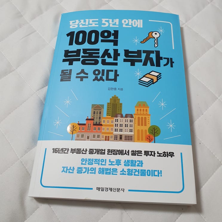  당신도 5년 안에 100억 부동산 부자가 될 수 있다 공인중개사 저자의 부동산 노하우 서평
