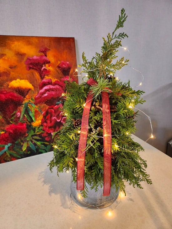 [대신동 꽃집 빌데플레르] 측백과 더글라스 잎으로 만든 크리스마스 트리 화분 & 선물/조명 장식
