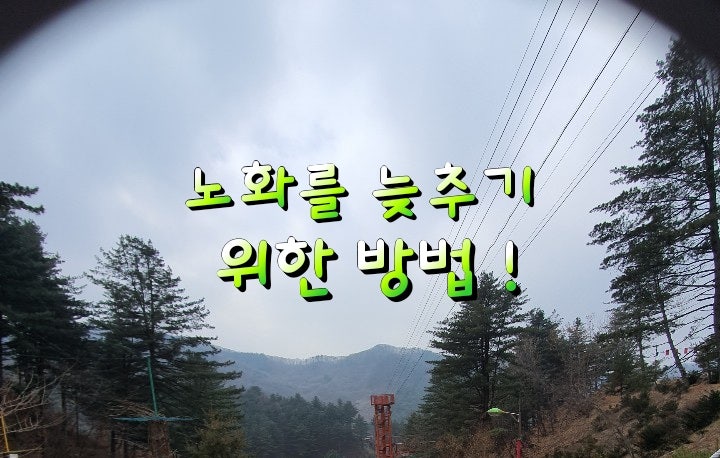 노화를 늦추기 위한 방법 ! 노화를 늦추기 위한 방법 !