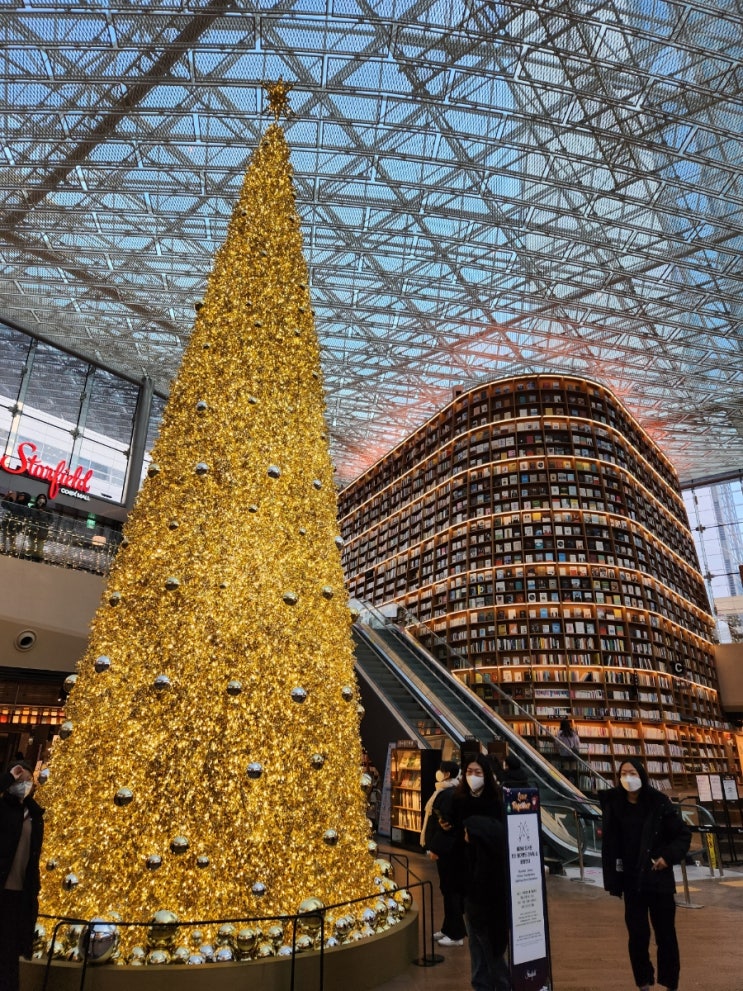  [일상] 크리스마스 아침일찍 방문한 코엑스 별마당도서관