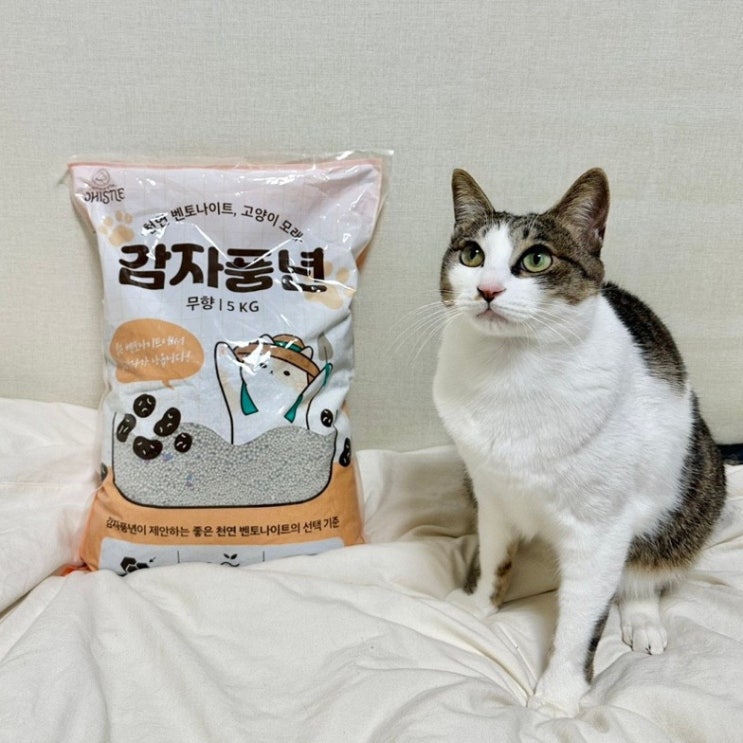 고양이 벤토나이트 '감자풍년' 가성비 좋음