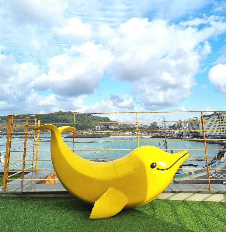 [제주 함덕] 카페바나나 : 귀여운 바나나돌고래 / 오션뷰 카페