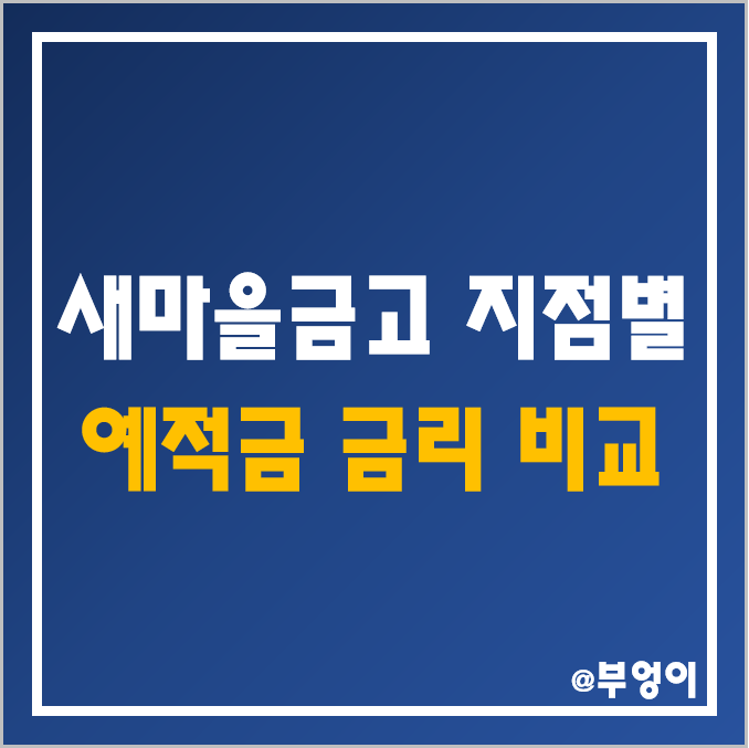 MG 새마을금고 정기 예금 및 적금 특판 상품 금리 비교(예적금 이율, 6개월/12개월/24개월 이자율 순위)