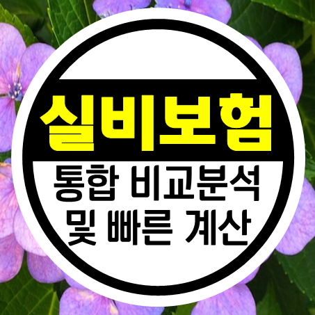  부모님 실비보험 간편하고 빠른 계산과 통합 비교분석