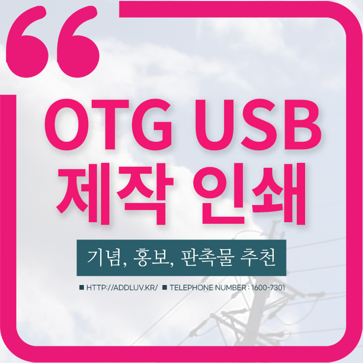 ALIO OTG USB 메모리 5천원대 선물로 유용 (컬러 인쇄 가능)