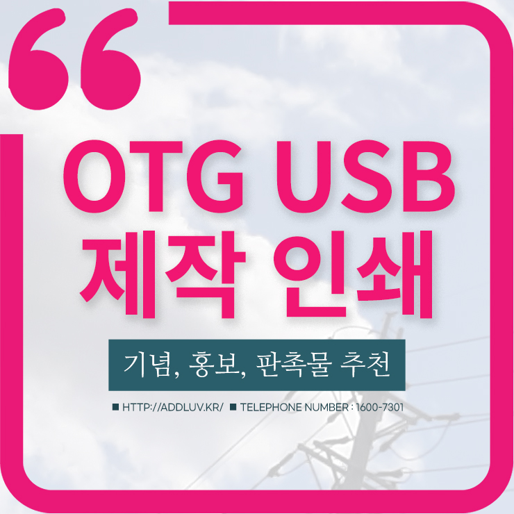 ALIO OTG USB 메모리 5천원대 선물로 유용 (컬러 인쇄 가능) ALIO OTG USB 메모리 5천원대 선물로 유용 (컬러 인쇄 가능)