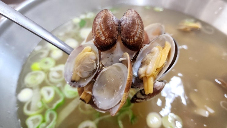  넙죽이우리밀칼국수 화정동 맛집 뜨끈한 국물 좋아요!(+바지락, 곡물해물파전, 메뉴판, 가격)