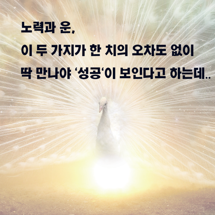  기회의 신, 당신은 운(運)이 좋은 사람인가요?