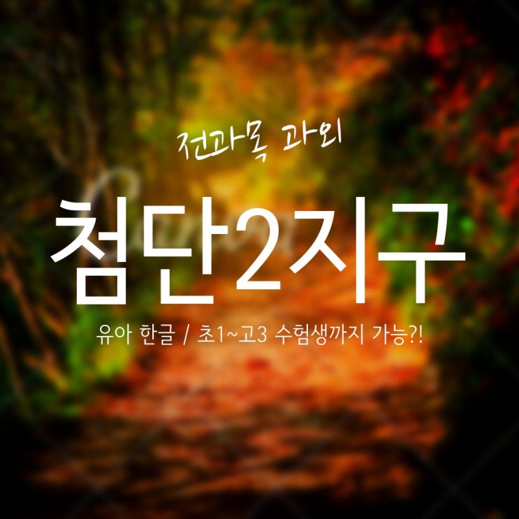  광주 신용동 수학 과외. 첨단2지구 영어 과외 신용중 내신 빛고을고 전문 추천 선생님