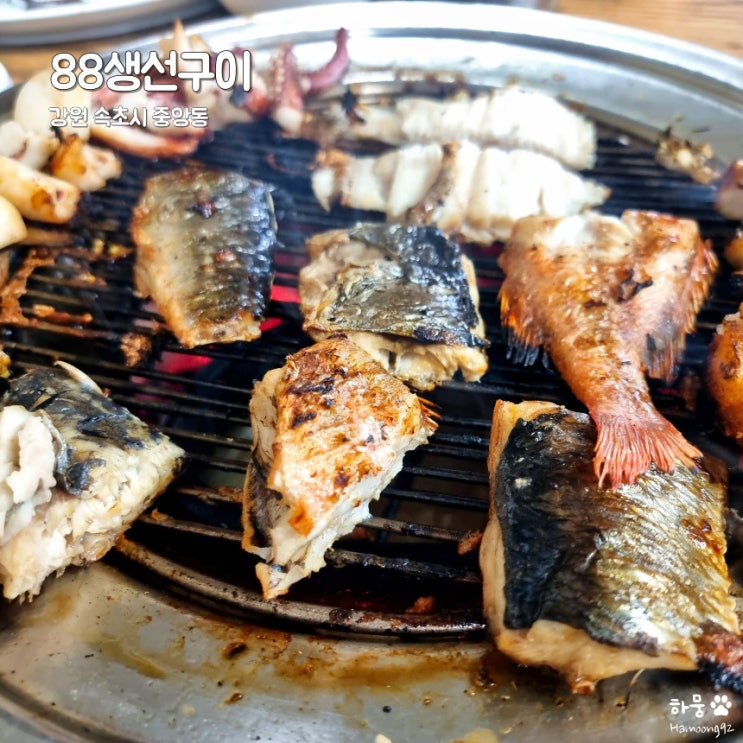  강원도 속초 중앙동 해산물 직화구이 맛집 88생선구이