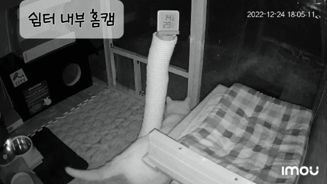  내돈내산 : 400만 화소 다후아 홈캠 크루저 IMOU CRUISER 실외 방수캠 실외 펫캠 반려동물 카메라