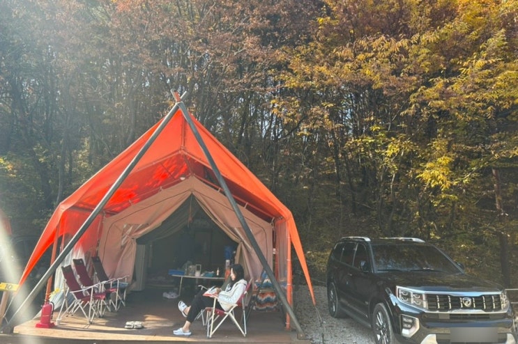   포천 여행: 글램핑/로슈아커피