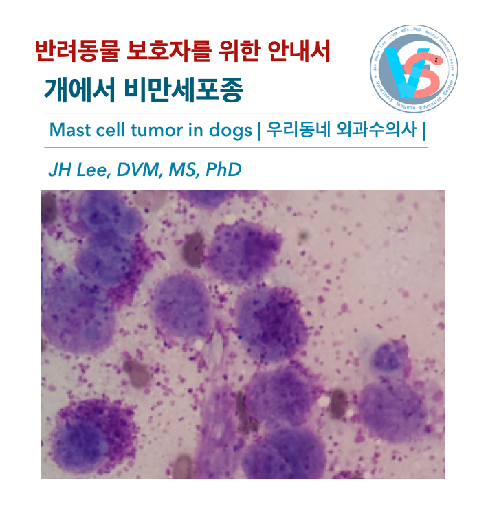  [동물병원안내서] 비만세포종 Mast cell tumor (개, canine) - 반려동물 보호자를 위한 안내서, 우리동네 외과수의사