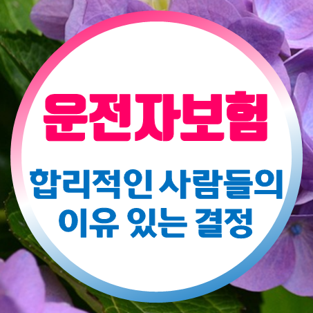  부부운전자보험 합리적인 사람들의 이유 있는 PICK!