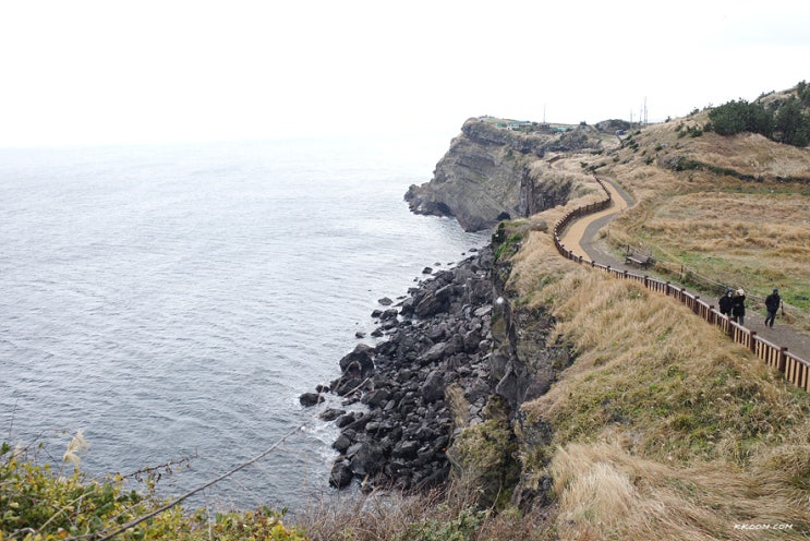 겨울 제주도 송악산 둘레길, 연돈 돈까스