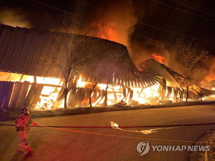 강원도 산불 소각장 폐기장 화재사고 중앙시장 화재